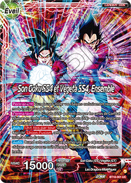 Son Goku SS4 et Vegeta SS4, Ensemble