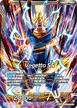 Vegetto SS