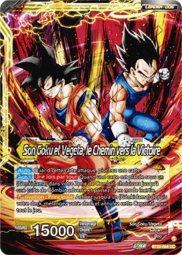 Son Goku et Vegeta, le Chemin vers la Victoire