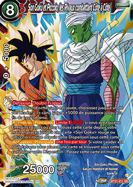 Son Goku et Piccolo, les Rivaux combattant Côte à Côte