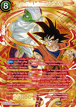 Son Goku et Piccolo, les Rivaux combattant Côte à Côte