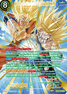 Son Goku SS et Son Gohan SS2, Solidarité Père-Fils