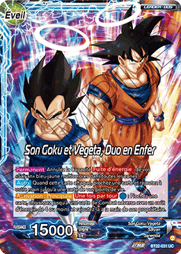 Son Goku et Vegeta, Duo en Enfer