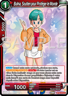 Bulma, Soutien pour Protéger le Monde