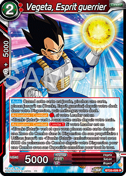 Vegeta, Esprit guerrier