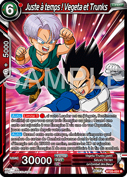 Juste à temps ! Vegeta et Trunks