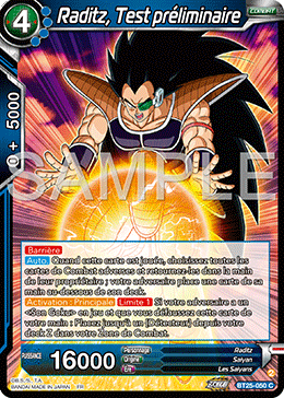 Raditz, Test préliminaire