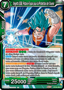 Vegetto SSB, Potara-Fusion pour la Protection de l’Avenir