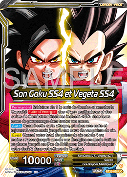 Son Goku SS4 et Vegeta SS4