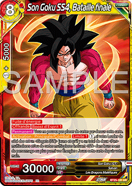 Son Goku SS4, Bataille finale