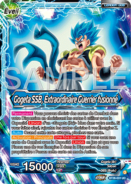 Gogeta SSB, Extraordinaire Guerrier fusionné