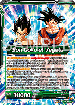 Son Goku et Vegeta