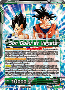 Son Goku et Vegeta