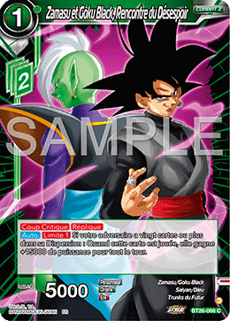 Zamasu et Goku Black, Rencontre du Désespoir