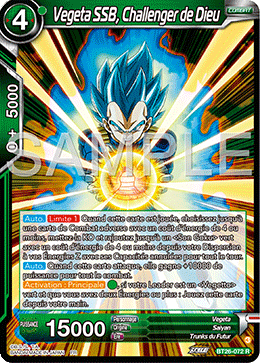 Vegeta SSB, Challenger de Dieu