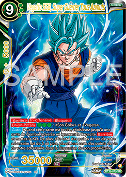 Vegetto SSB, Super Guerrier Tous Azimuts