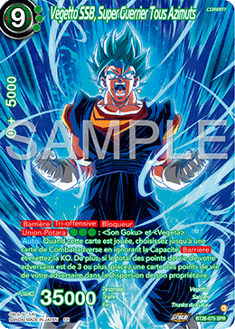 Vegetto SSB, Super Guerrier Tous Azimuts