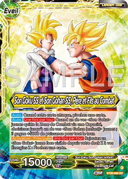 Son Goku SS et Son Gohan SS, Père et Fils au Combat