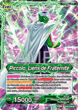 Piccolo, Liens de Fraternité