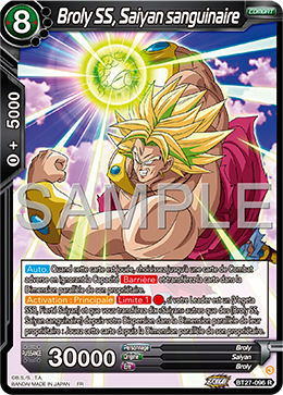 Broly SS, Saiyan sanguinaire