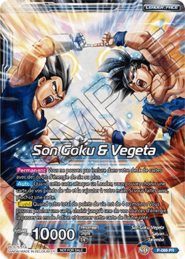 Son Goku & Vegeta
