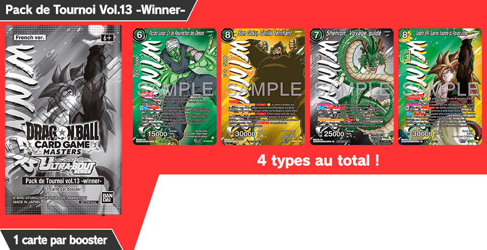 Pack de Tournoi Vol.13 -Winner-
